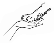 logo illustration Pawsitive Affects