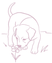 puppy_line_art-1